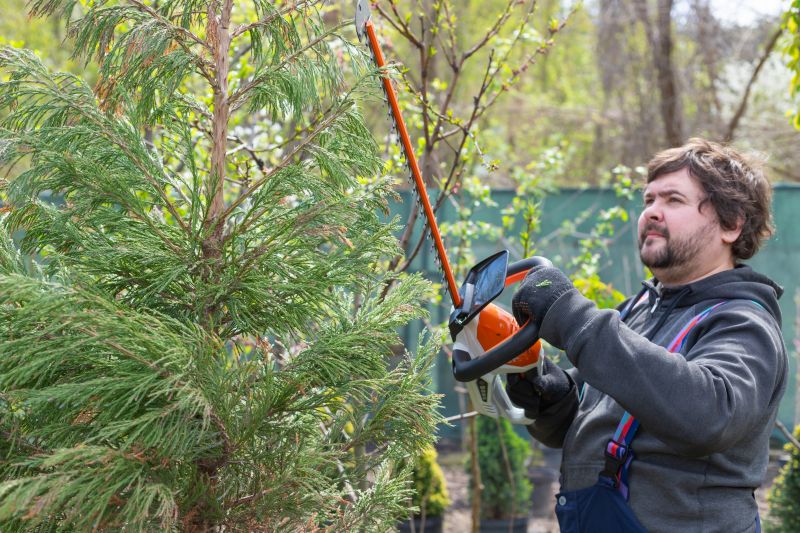 Local Juniper Tree Trimming pros at work
